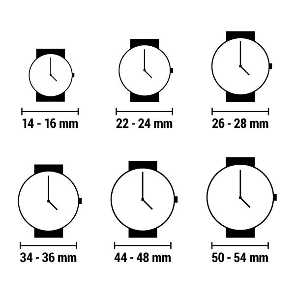 Men's Watch Philip Watch R8253597126